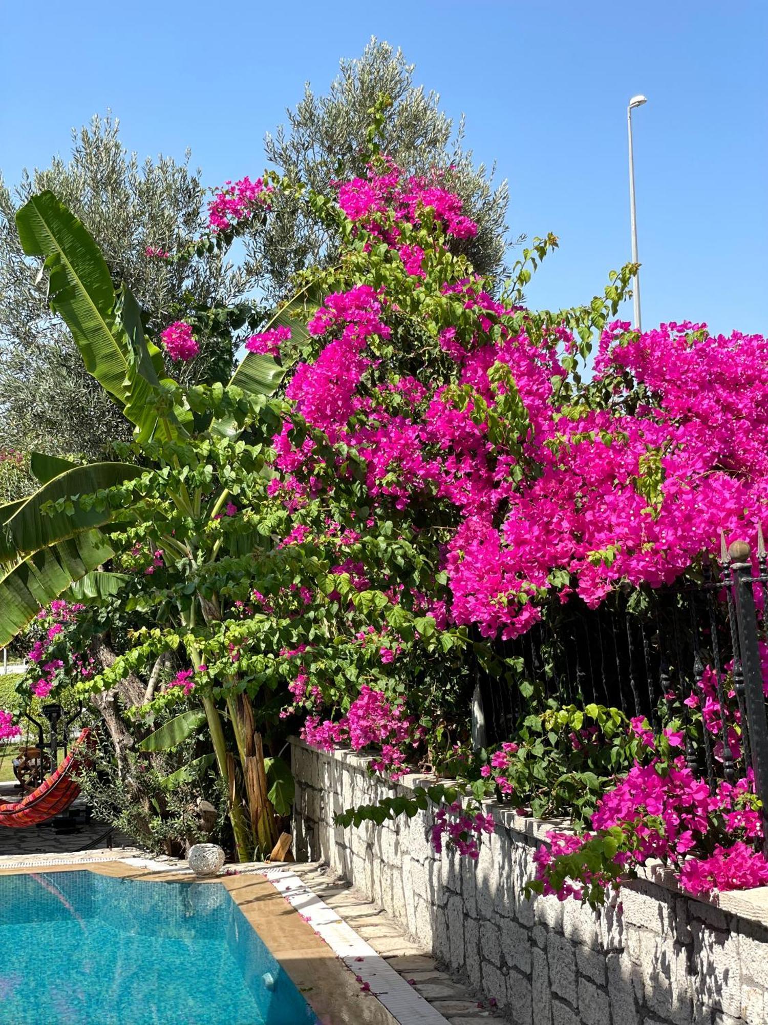 Ata Boutique Hotel Çeşme Buitenkant foto