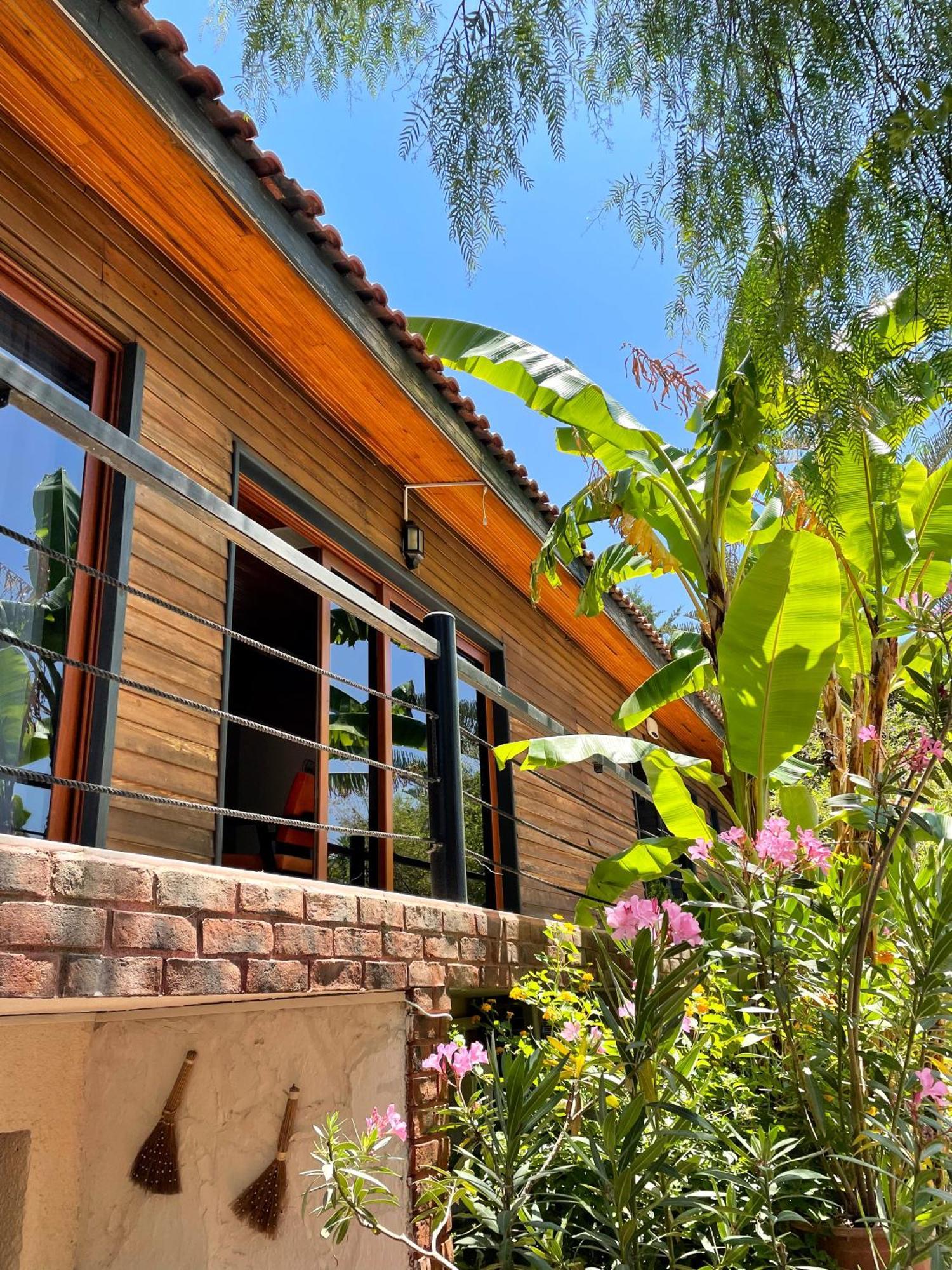 Ata Boutique Hotel Çeşme Buitenkant foto