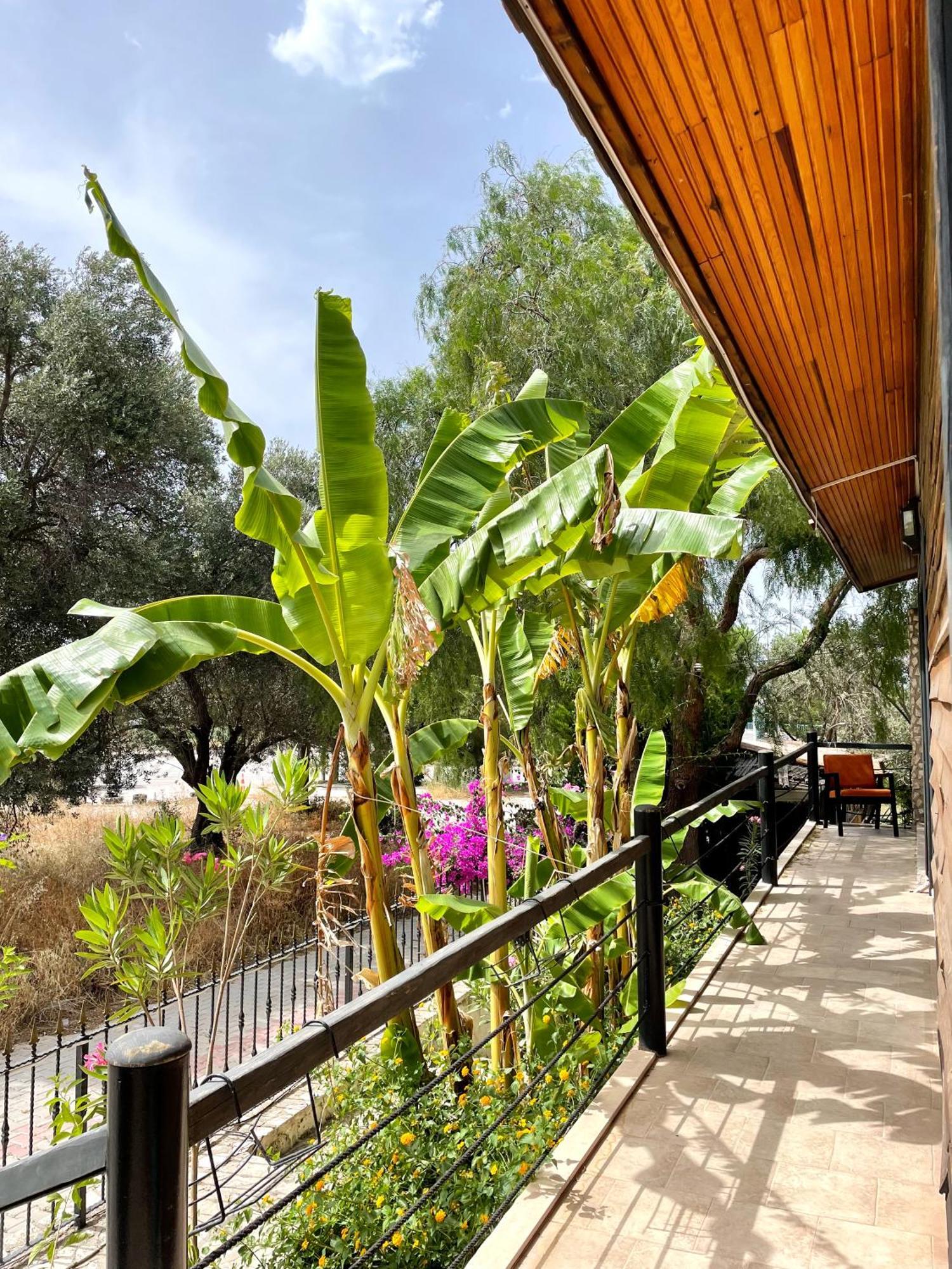 Ata Boutique Hotel Çeşme Buitenkant foto
